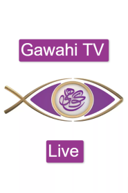 Gawahi Tv Live Free Streaming