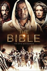 The Bible 2013
